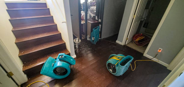 Best Ceiling water damage repair  in Grandview, WA