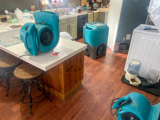 Best Local water damage restoration  in Grandview, WA