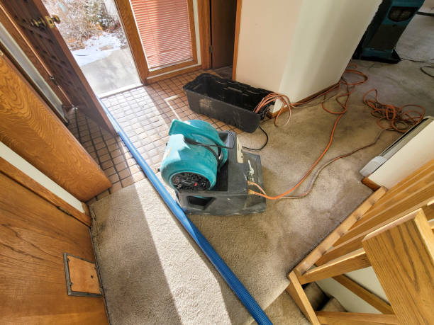 Best Flood damage cleanup  in Grandview, WA