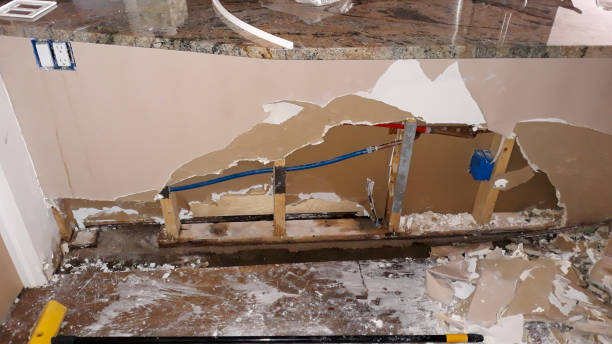 Best Professional water damage repair  in Grandview, WA