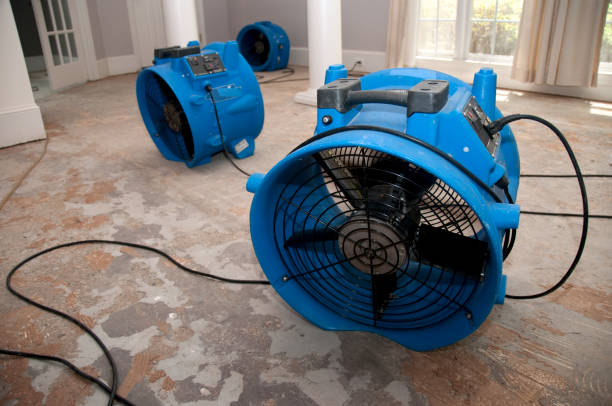 Best Water damage restoration near me  in Grandview, WA