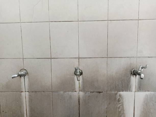 Best Flood restoration services  in Grandview, WA