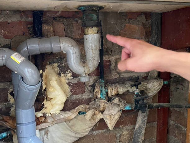Best Water damage restoration process  in Grandview, WA