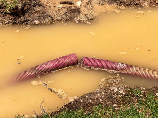 Best Basement water damage restoration  in Grandview, WA